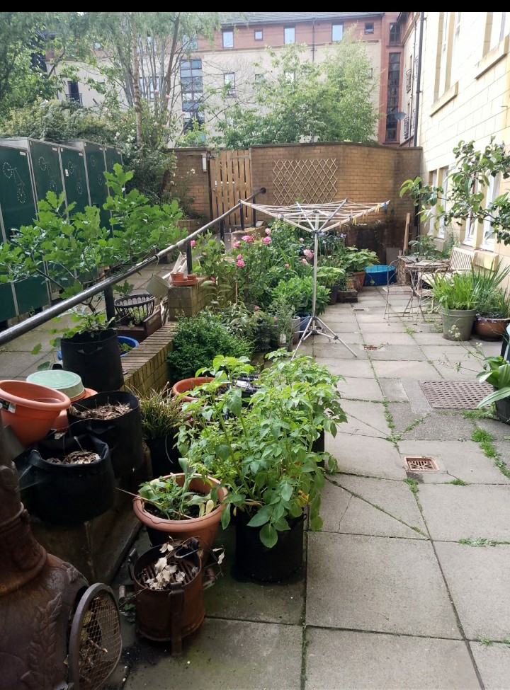 1-bedroom-flat-in-woodlands--glasgow