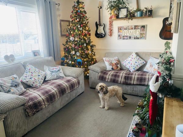 south-bristol-3-bed-wanted