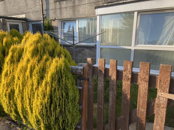 1-bedroom-ha-flat-in-llanbadarn-fawr