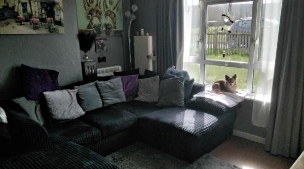 1 bedroom bungalow mutual exchange