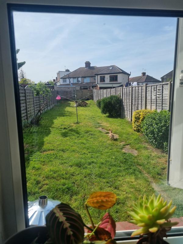 looking-for-house-in-norwichkingslynn