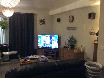 Large 2 bedroom basement flat with own fully enclosed garden 